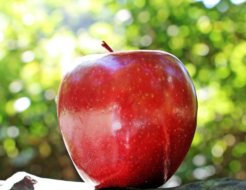Apple Jobs